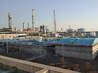 Bactérias para Remoção de Nitrogênio Amoniacal (Autotróficas)