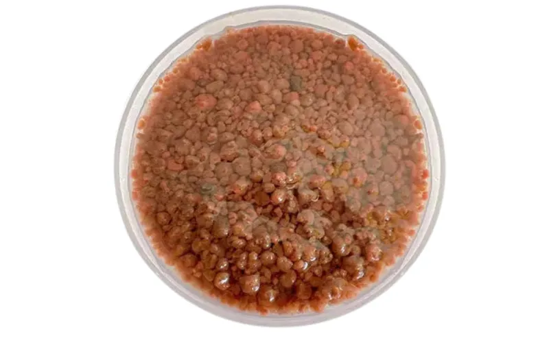 Bioestimulante Anaeróbico