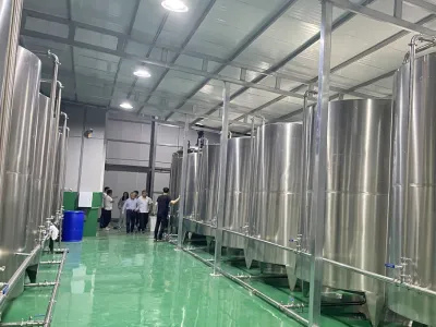 Bioestimulante Anaeróbico