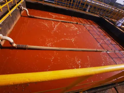 Nutriente de Ativação de Bactérias