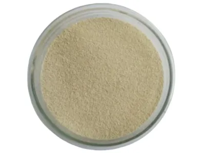 Bactérias de Desintoxicação Biológica