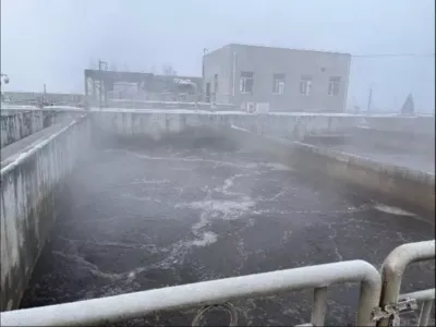 Bactérias para Remoção de DQO (Aeróbicas)