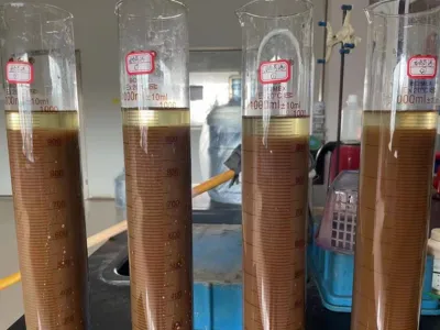 Bactérias para Remoção de DQO (Anaeróbicas)