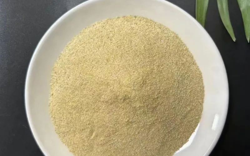 Bactérias de Remoção de DMF de Alta Eficiência