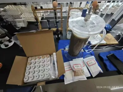 Bactérias de Remoção de DMF de Alta Eficiência