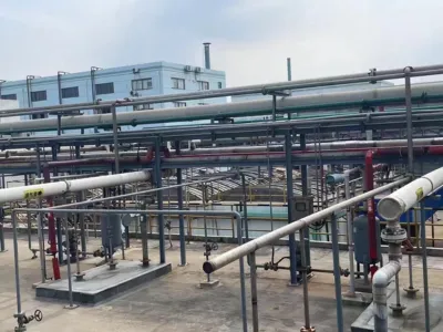 Bactérias Anaeróbicas de Alta Eficiência