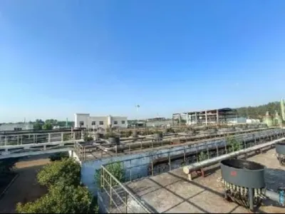 Bactérias de Acidificação Hidrolítica