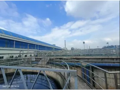 Bactérias de Acidificação Hidrolítica