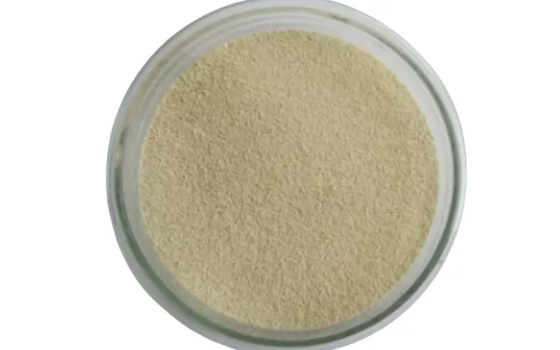 Bactérias Acumuladoras de Polifosfato