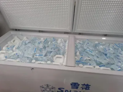 Bactérias para Remoção de Nitrogênio Amoniacal Tolerantes a Sal