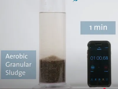 Bactérias Bio-Desodorizantes